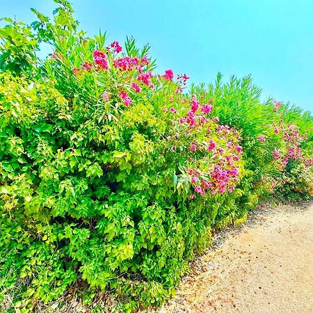 Tetraktys Estate Beachside Υδωρ Ágios Matthaíos Eksteriør billede