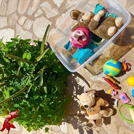 Tetraktys Estate Beachside Υδωρ Ágios Matthaíos Eksteriør billede