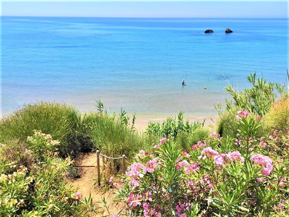 Tetraktys Estate Beachside Υδωρ Ágios Matthaíos Eksteriør billede