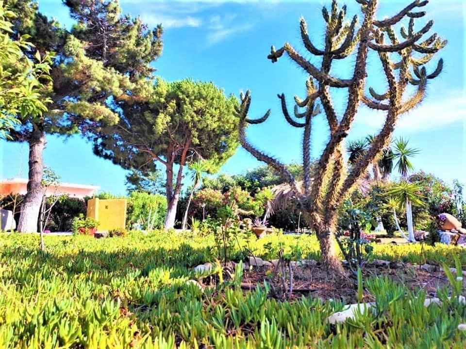 Tetraktys Estate Beachside Υδωρ Ágios Matthaíos Eksteriør billede