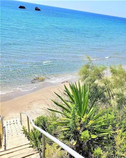 Tetraktys Estate Beachside Υδωρ Ágios Matthaíos Eksteriør billede
