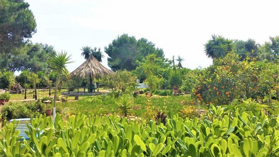 Tetraktys Estate Beachside Υδωρ Ágios Matthaíos Eksteriør billede